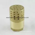 Brass Spring Check Valve with Filter as-C003